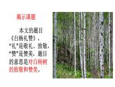 人教部编版八年级语文上册15白杨礼赞 课件