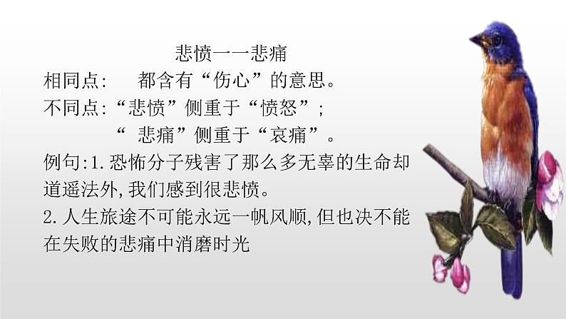人教部编版九年级语文上册2我爱这土地.pptx.07