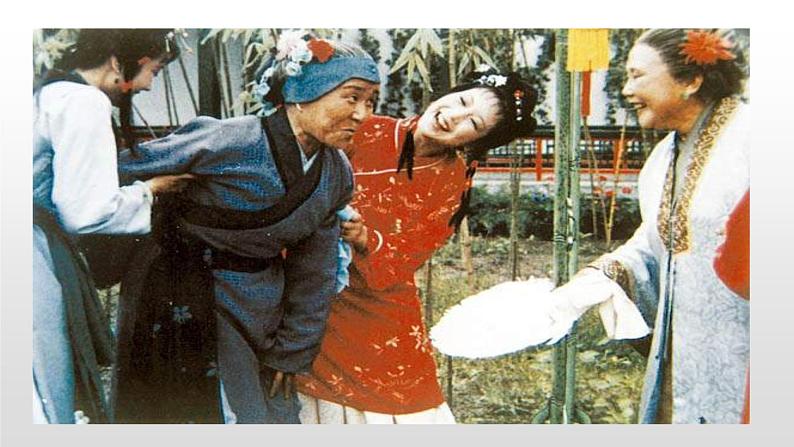 人教部编版九年级语文上册24刘姥姥进大观园 课件07