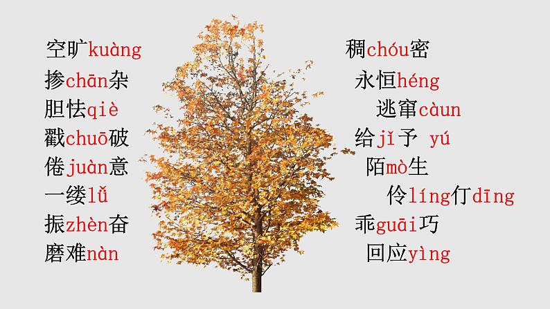 人教部编版九年级语文上册16孤独之旅(38张PPT)第5页