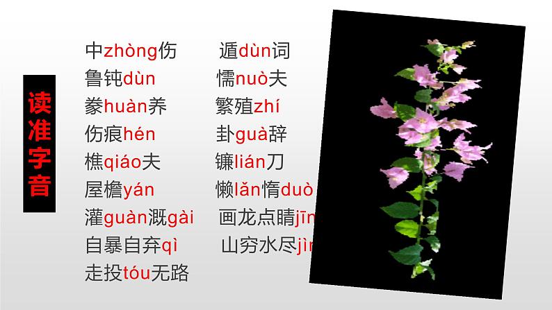 人教部编版九年级语文上册20创造宣言 课件06