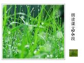 3.《雨的四季》课件