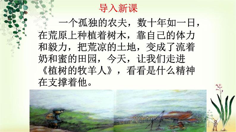 13 《植树的牧羊人》课件01