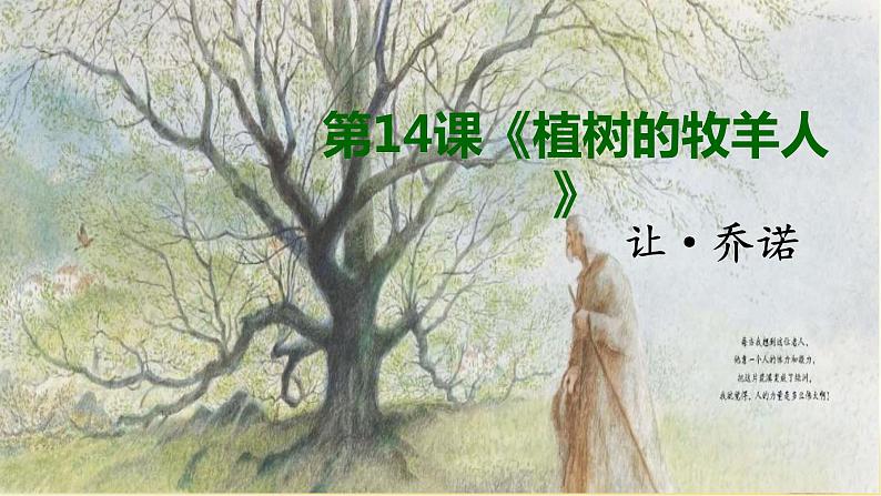 13 《植树的牧羊人》课件02