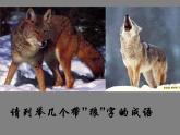 18.《狼》课件