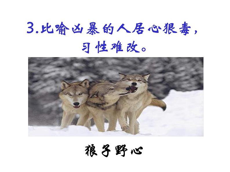 18.《狼》课件07