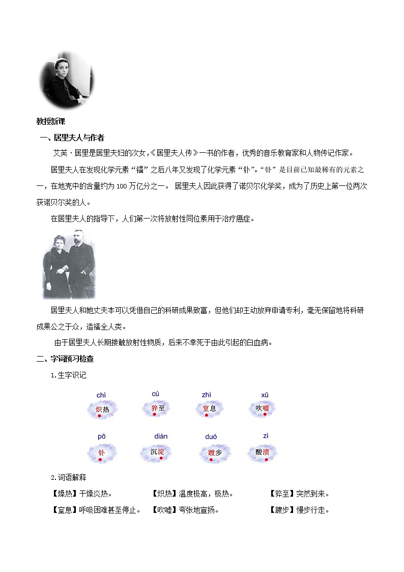 9 《美丽的颜色》教学设计八年级语文上册全新章节式二级菜单型课件及教学设计（部编版）02