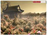 07《就英法联军远征中国致巴特勒上尉的信》（同步课件）九年级语文上册同步精品系列（部编版）(共28张PPT)