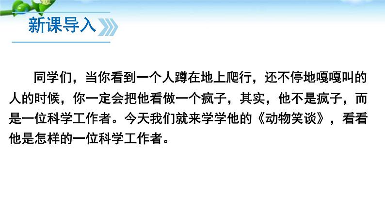 17. 《动物笑谈》课件01