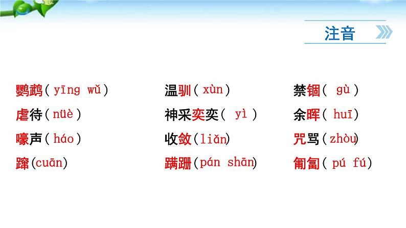17. 《动物笑谈》课件05
