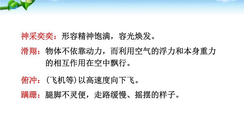 17. 《动物笑谈》课件08