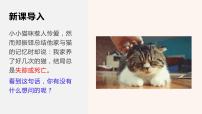 猫完整版ppt课件