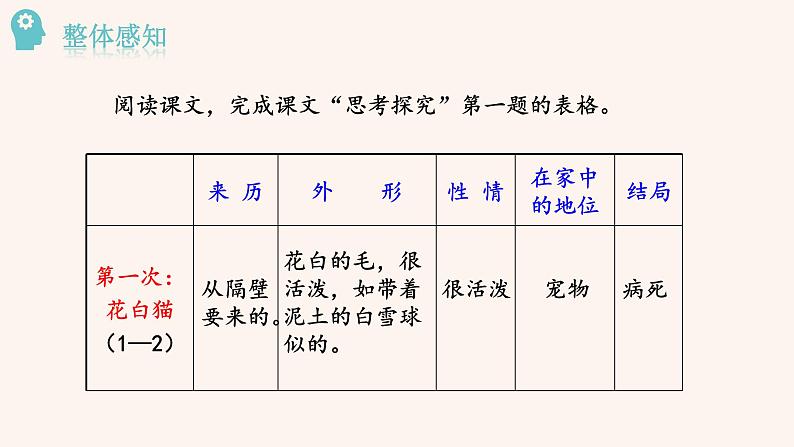 16 猫PPT+音视频素材07