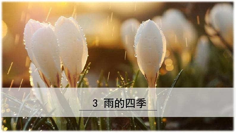 《雨的四季》 课件第2页