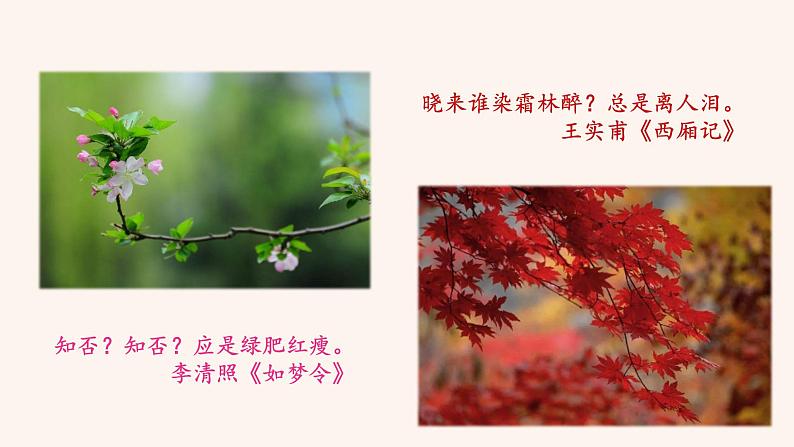 观沧海  课件第4页