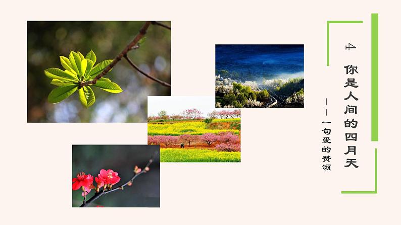 5 你是人间的四月天——一句爱的赞颂 PPT课件（含素材）04
