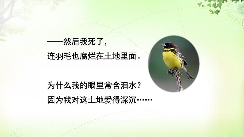 3 我爱这土地 PPT课件_九上语文06