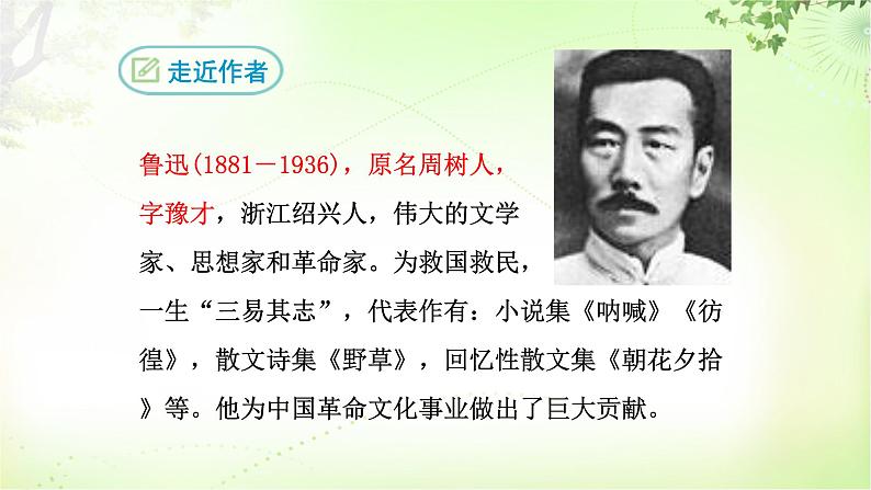 15 故乡 PPT课件_九上语文04