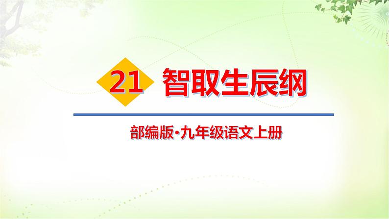 22 智取生辰纲 PPT课件_九上语文01