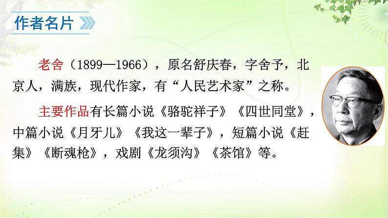 2 济南的冬天 PPT课件_七上语文05