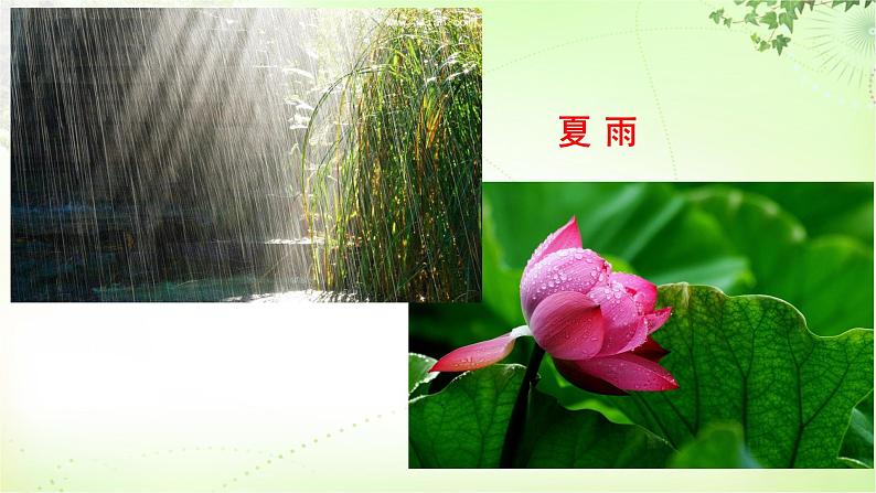 3 雨的四季 PPT课件_七上语文08