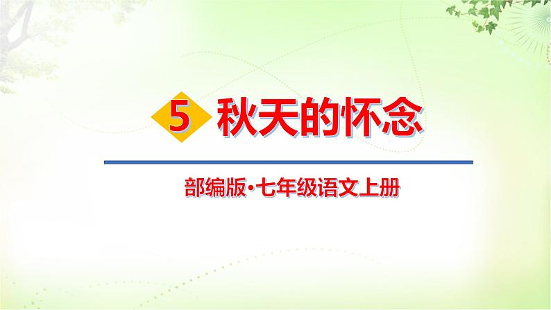 5 秋天的怀念第1页
