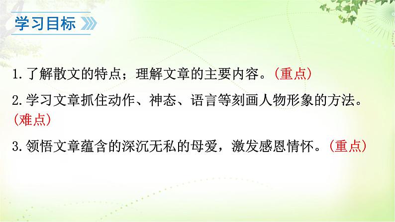 5 秋天的怀念第5页