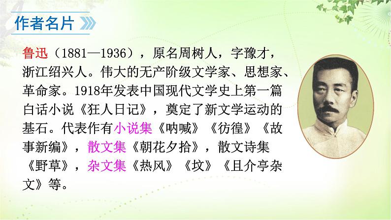 9  从百草园到三味书屋第4页