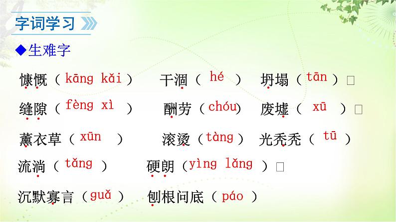 13   植树的牧羊人 PPT课件_七上语文08
