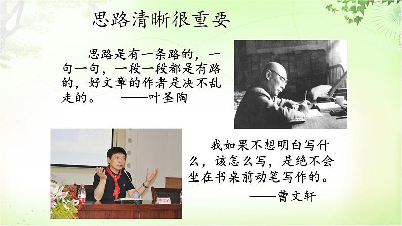 写作（思路要清晰） PPT课件_七上语文第3页