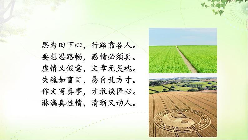 写作（思路要清晰） PPT课件_七上语文第6页