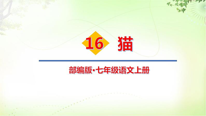 16 猫 PPT课件_七上语文01