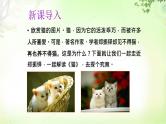 16 猫 PPT课件_七上语文