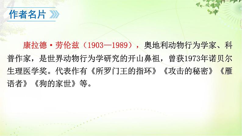 17 动物笑谈 PPT课件_七上语文04