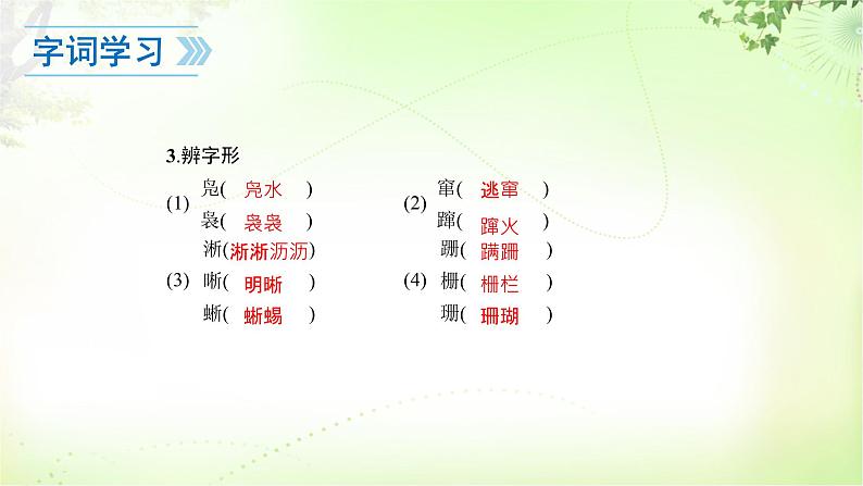 17 动物笑谈 PPT课件_七上语文07