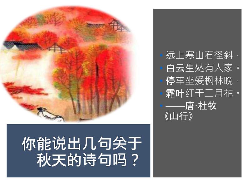 部编版五四学制七年级上册 5. 《秋天的怀念》课件28张 (1)02