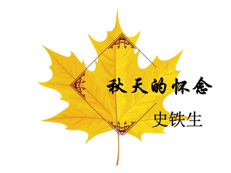 部编版五四学制七年级上册 5. 《秋天的怀念》课件28张 (1)04