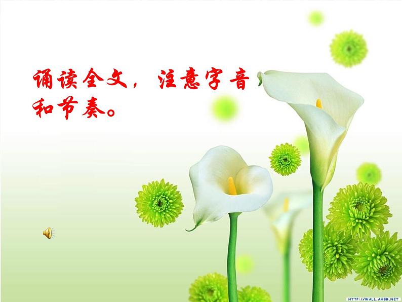 人教部编版九年级上册12《湖心亭看雪》课件（44张ppt）05