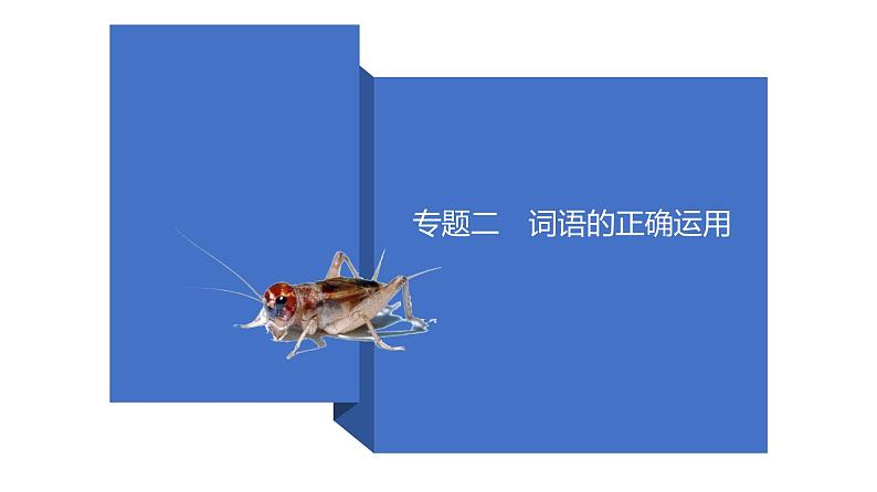 专题二　词语的正确运用-2021年中考语文一轮复习之语言文字运用通关必备第1页