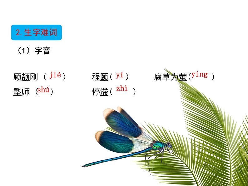 部编版九年级语文上册第十八课怀疑与学问 精品课件第5页
