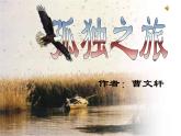 人教部编版九年级语文上册课件：第16课孤独之旅 精品课件