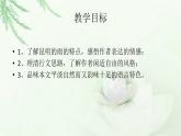 人教部编八年级语文上册17《昆明的雨》课件(共29张PPT）