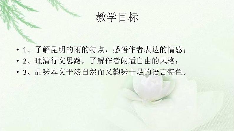 人教部编八年级语文上册17《昆明的雨》课件(共29张PPT）04