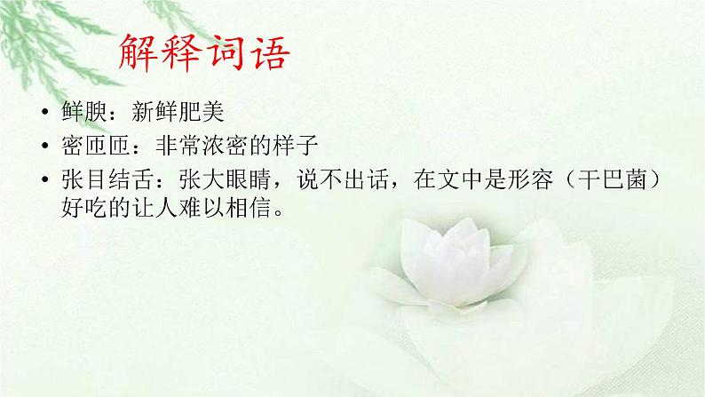 人教部编八年级语文上册17《昆明的雨》课件(共29张PPT）06