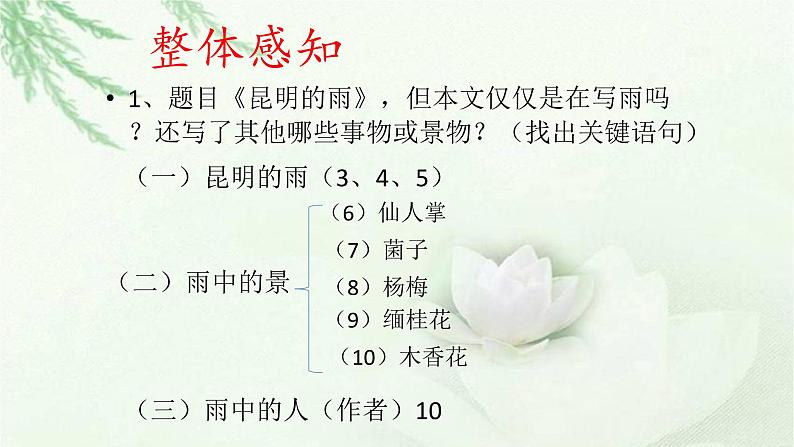 人教部编八年级语文上册17《昆明的雨》课件(共29张PPT）08