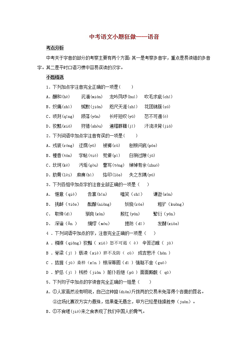 2020年中考语文小题狂做 语音（含答案）01