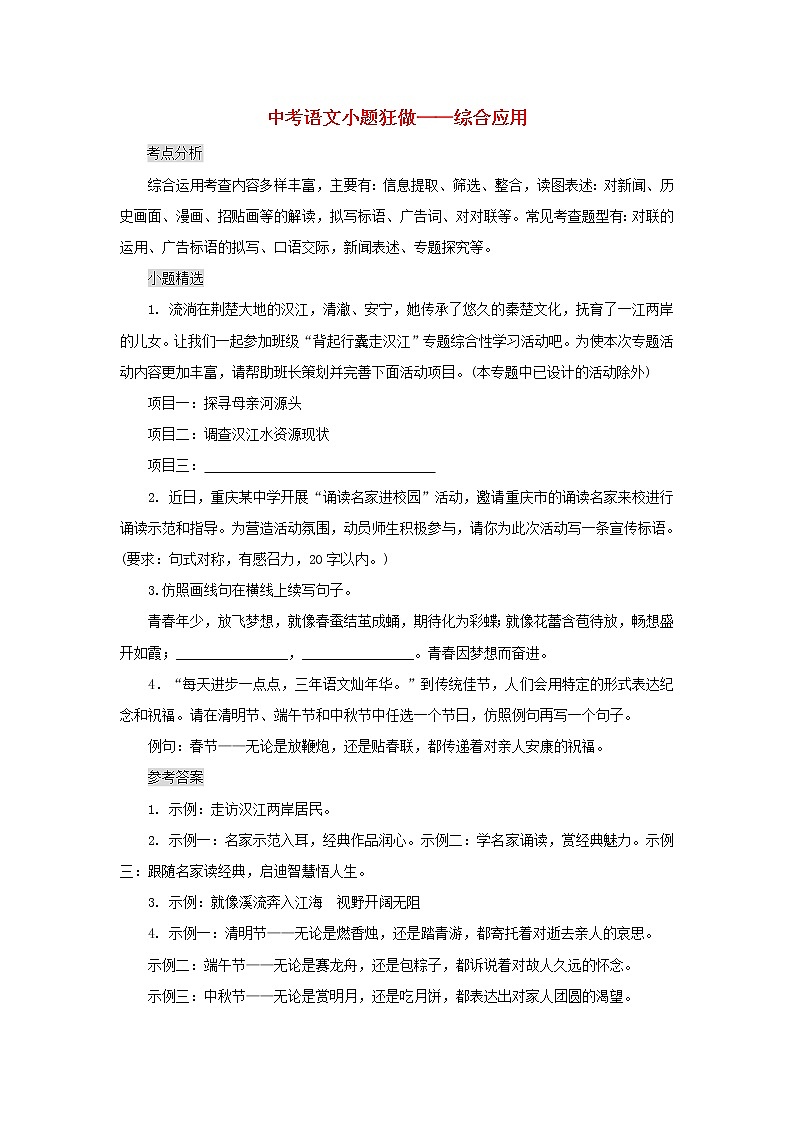 2020年中考语文小题狂做 综合应用（含答案）01