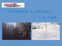 初中人教部编版咏雪说课ppt课件