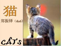 猫郑振铎公开课ppt课件