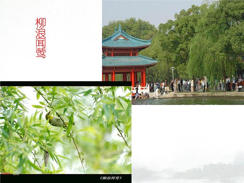 人教部编版八年级上册13《唐诗五首》之《钱塘湖春行》课件（30张 ppt）07